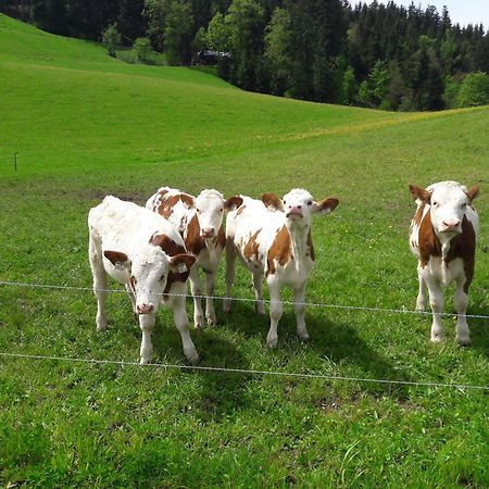 Bio-Bauernhof Niederlehen Villa Fieberbrunn Kültér fotó